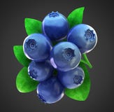 Ripe Fresh Blueberries With Clipping Path Stock Photos