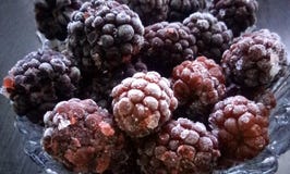 Ripe Frozen Blackberries stock photography Ripe Frozen Blackberries stock photography