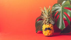 Ripe pineapple with a black mustache on a red background, with large green leaves of the plant. Funny face from food. stock images Ripe pineapple with a black mustache on a red background, with large green leaves of the plant. Funny face from food. stock images