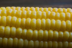 Sweet fresh corn close up stock photos Sweet fresh corn close up stock photos