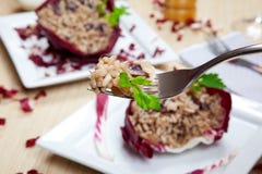 Risotto with cicory, radicchio stock image Risotto with cicory, radicchio stock image