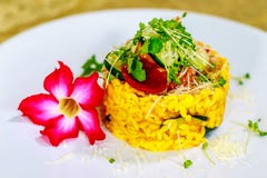 Risotto végétarien avec le potiron, la courgette, le parmesan, l'oignon coloré avec du jus de betteraves et les pousses de harico photos stock Risotto végétarien avec le potiron, la courgette, le parmesan, l'oignon coloré avec du jus de betteraves et les pousses de harico photos stock