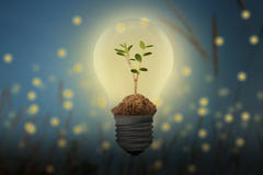 Risparmi l'energia, con il concetto della lampadina e delle lucciole royalty illustrazione gratis Risparmi l'energia, con il concetto della lampadina e delle lucciole royalty illustrazione gratis