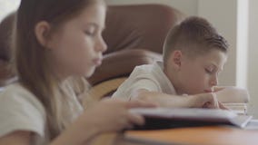 Ritratto alto vicino della sorella e dei suoi taccuini sfogliare gemellati del fratello stanco con compito esaurito dopo scuola stock footage Ritratto alto vicino della sorella e dei suoi taccuini sfogliare gemellati del fratello stanco con compito esaurito dopo scuola stock footage