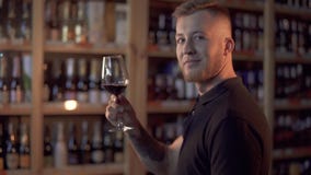 Ritratto del maschio bello nel profilo che tiene il vetro di vino L'uomo ammira la bevanda alcolica stock footage Ritratto del maschio bello nel profilo che tiene il vetro di vino L'uomo ammira la bevanda alcolica stock footage