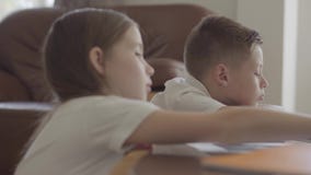 Ritratto della sorella e dei suoi taccuini sfogliare gemellati del fratello stanco con compito esaurito dopo scuola stock footage Ritratto della sorella e dei suoi taccuini sfogliare gemellati del fratello stanco con compito esaurito dopo scuola stock footage