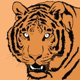 Ritratto della tigre royalty illustrazione gratis Ritratto della tigre royalty illustrazione gratis