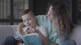 Ritratto di bella giovane madre che legge un libro al suo bello figlio che si siede sul sofà fratellanza famiglia stock footage Ritratto di bella giovane madre che legge un libro al suo bello figlio che si siede sul sofà fratellanza famiglia stock footage