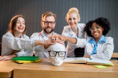 Ritratto di un gruppo di erba medica immagini stock Ritratto di un gruppo di erba medica immagini stock