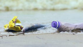 Riva sporca dell'oceano con il pesce morto, onde che prendono detriti e lettiera, ecologia Riva sporca dell'oceano con il pesce morto, onde che prendono detriti e lettiera, ecologia
