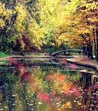 River And Trees In Autumn Royalty Free Stock Photos