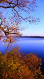 River Daugava In Autumn Royalty Free Stock Images