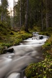 River in a forest stock photography River in a forest stock photography