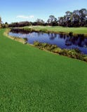 River & Golf Course