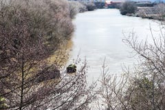 River with vegetation on the river bank stock photo River with vegetation on the river bank stock photo
