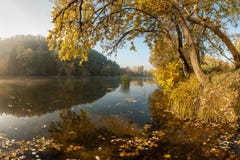 River With Autumn Leaves Royalty Free Stock Photo