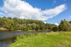 Rivière dans une forêt de pin avec une plage sablonneuse photos libres de droits Rivière dans une forêt de pin avec une plage sablonneuse photos libres de droits