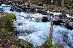 Rivière de montagne dans la vieille eau d'espace libre de forêt photo libre de droits Rivière de montagne dans la vieille eau d'espace libre de forêt photo libre de droits