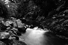 Rivière tropicale noire avec de grands rochers et végétation luxuriante en noir et blanc image stock Rivière tropicale noire avec de grands rochers et végétation luxuriante en noir et blanc image stock