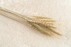 Riz avec des oreilles de riz à l'arrière-plan photographie stock libre de droits Riz avec des oreilles de riz à l'arrière-plan photographie stock libre de droits