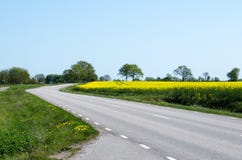 Road In A Spring Colored Landscape Royalty Free Stock Photos Road In A Spring Colored Landscape Royalty Free Stock Photos