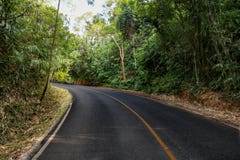 Road in the mountain forest royalty free stock images Road in the mountain forest royalty free stock images
