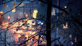 Road And Tree On Rainy Evening. Tree dripping in the rain with cars driving up hillside in the background Road And Tree On Rainy Evening. Tree dripping in the rain with cars driving up hillside in the background