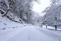 Road in winter landscape. stock images Road in winter landscape. stock images