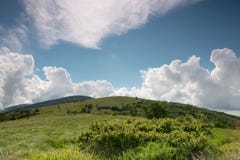 Roan Mountain royalty free stock photo Roan Mountain royalty free stock photo