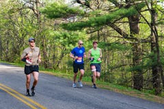 Male Runners in the 2021 Blue Ridge Marathon