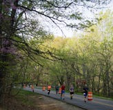 Runners in the 2021 Blue Ridge Marathon