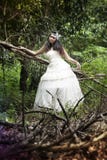 Robe de mariage images stock Robe de mariage images stock