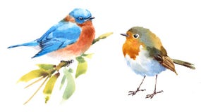 Robin και καθορισμένο χέρι απεικόνισης Watercolor πουλιών Bluebird που σύρεται Στοκ Εικόνες Robin και καθορισμένο χέρι απεικόνισης Watercolor πουλιών Bluebird που σύρεται Στοκ Εικόνες