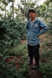 robusta koffieaanplanting met zijn trotse eigenaar stock fotografie robusta koffieaanplanting met zijn trotse eigenaar stock fotografie