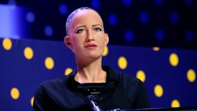 Robô do humanoid de Sophia na conferência das inovações Open no technopark de Skolokovo vídeos de arquivo Robô do humanoid de Sophia na conferência das inovações Open no technopark de Skolokovo vídeos de arquivo