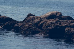 Rocas en el mar, Creta Grecia imágenes de archivo libres de regalías Rocas en el mar, Creta Grecia imágenes de archivo libres de regalías