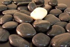 Rocce
