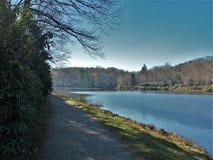 Roccia di salto vicina del lago trout immagine stock Roccia di salto vicina del lago trout immagine stock