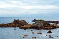 Roccia e pino della spiaggia di Minami Izu Ose fotografie stock Roccia e pino della spiaggia di Minami Izu Ose fotografie stock