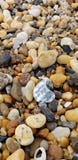 Roches de plage photos stock Roches de plage photos stock
