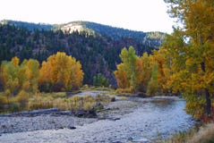 Rock Creek Montana, nedgångfärger arkivfoto Rock Creek Montana, nedgångfärger arkivfoto