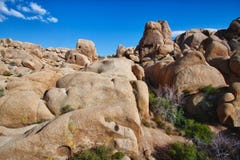 Rock Formations In Joshua Tree National Park Stock Image