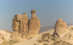 Rock In Cappadocia, Camel Stock Photos