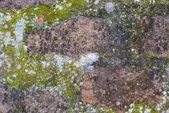 Rock, Mold, Moss And Liquen Background Stock Image Rock, Mold, Moss And Liquen Background Stock Image