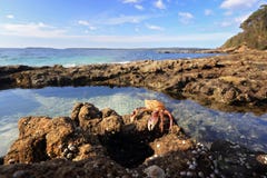 Rockpool enchanté Jervis Bay images stock Rockpool enchanté Jervis Bay images stock