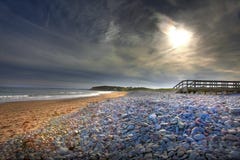 Rocky Beach At Sunset Royalty Free Stock Photography