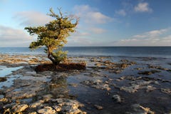 Rocky Shoreline Stock Images Rocky Shoreline Stock Images
