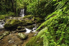 Rocky Stream Stock Photography Rocky Stream Stock Photography