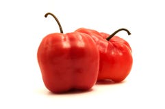 Rocoto Стоковые Изображения RF Rocoto Стоковые Изображения RF