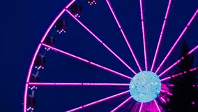 Roda de ferris de Pinklight em uma obscuridade - fundo azul e com uma árvore na parte dianteira de imagens de stock Roda de ferris de Pinklight em uma obscuridade - fundo azul e com uma árvore na parte dianteira de imagens de stock